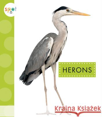 Herons Lisa Amstutz 9781645490982 Amicus