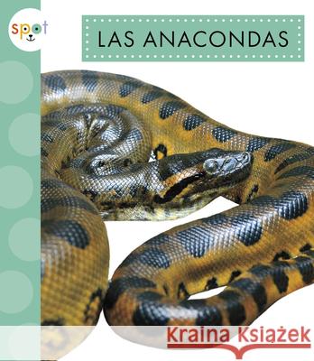 Las Anacondas Alissa Thielges 9781645498292 Amicus Ink