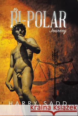 My BiPolar Journey Harry Sadd 9781645500605 Matchstick Literary