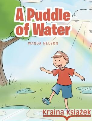 A Puddle of Water Wanda Nelson 9781645596462