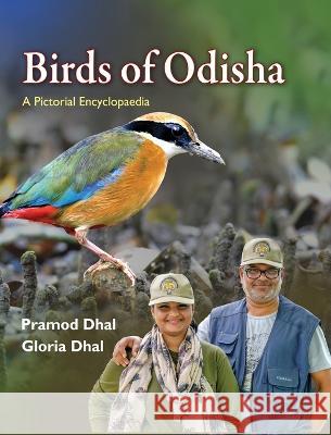 Birds of Odisha: A Pictorial Encyclopedia Pramod Dhal Gloria Dhal  9781645602989 Black Eagle Books