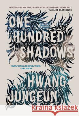 One Hundred Shadows Hwang Jungeun Jung Yewon 9781645661443