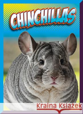 Chinchillas Marysa Storm 9781645825906 Black Rabbit Books