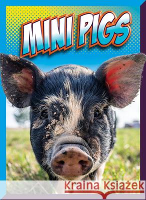 Mini Pigs Marysa Storm 9781645825920 Black Rabbit Books