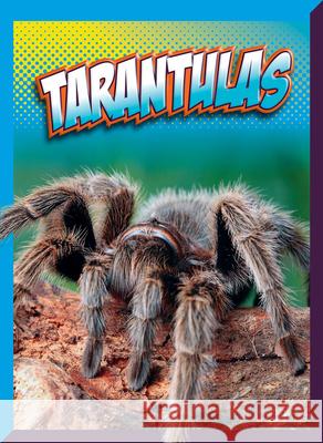 Tarantulas Marysa Storm 9781645825951 Black Rabbit Books