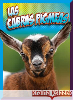 Las Cabras Pigmeas Marysa Storm 9781645826057 Black Rabbit Books