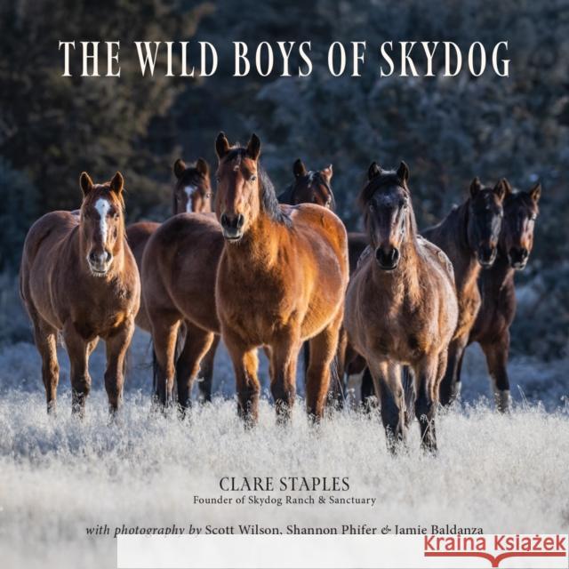 The Wild Boys of Skydog Clare Staples 9781646012763 Trafalgar Square