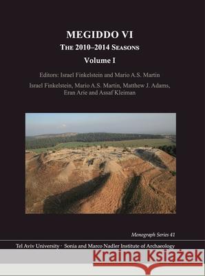 Megiddo VI – The 2010–2014 Seasons Israel Finkelstein, Mario A. S. Martin 9781646021659