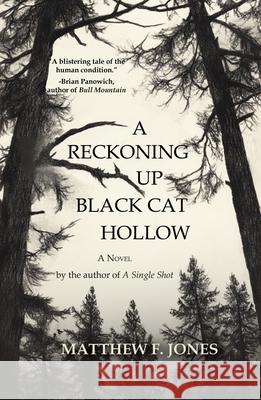 A Reckoning Up Black Cat Hollow Matthew F. Jones 9781646036967 Regal House Publishing
