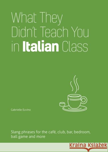 What They Didn't Teach You in Italian Class Igor Fisun 9781646043965 Ulysses Press