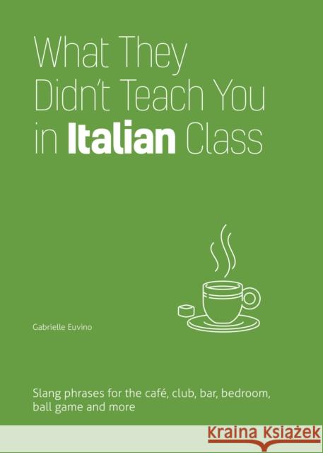 What They Didn't Teach You in Italian Class: Slang Phrases for the Cafe, Club, Bar, Bedroom, Ball Game and More Gabrielle Euvino 9781646043965 Ulysses Press