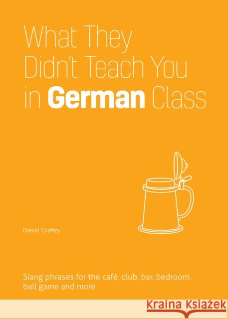 What They Didn't Teach You in German Class: Slang Phrases for the Cafe, Club, Bar, Bedroom, Ball Game and More Daniel Chaffey 9781646043972 Ulysses Press