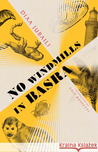 No Windmills in Basra  9781646051861 Deep Vellum Publishing