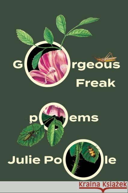 Gorgeous Freak Julie Poole 9781646053094 Deep Vellum Publishing