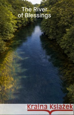 The River of Blessings  9781646054626 La Reunion Publishing