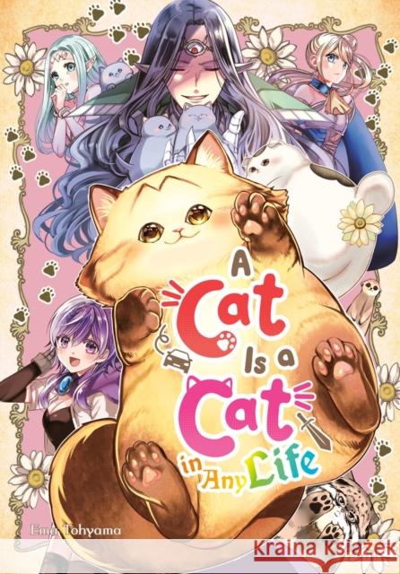 A Cat Is a Cat in Any Life Ema Toyama 9781646094714 Square Enix Manga
