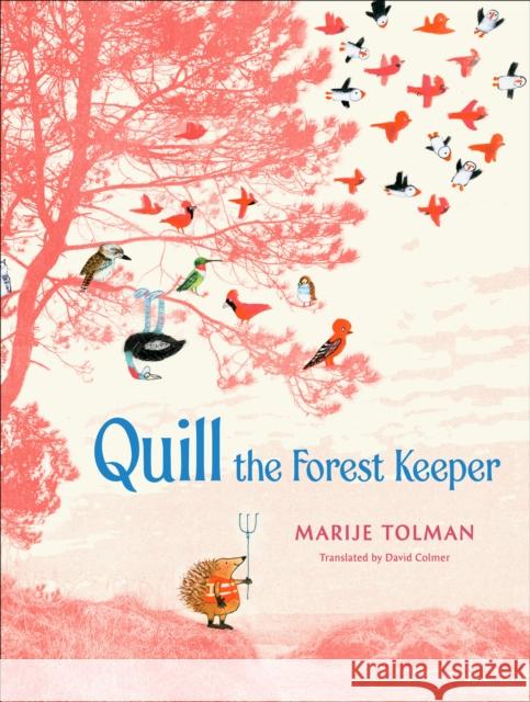 Quill the Forest Keeper Tolman Marije 9781646144525