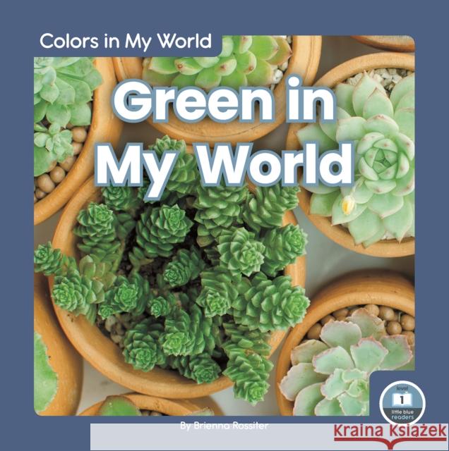 Green in My World Brienna Rossiter 9781646191581 North Star Editions