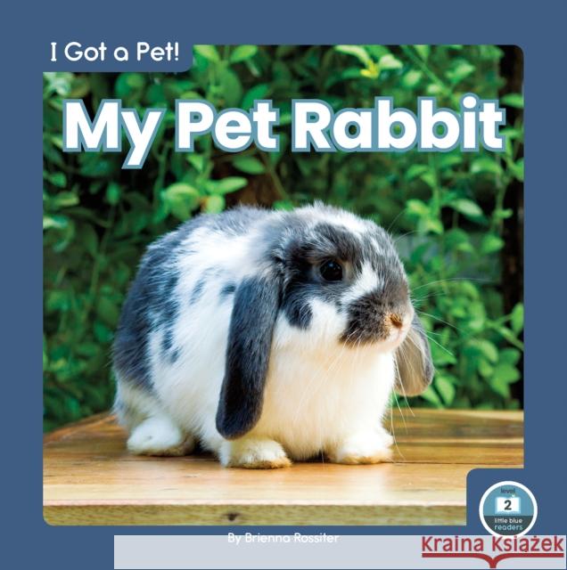 My Pet Rabbit Rossiter, Brienna 9781646195923 Little Blue Readers