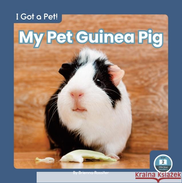 My Pet Guinea Pig Brienna Rossiter 9781646196166