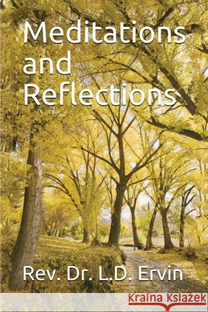 Meditations and Reflections L D Ervin   9781646200771 Writers Republic LLC