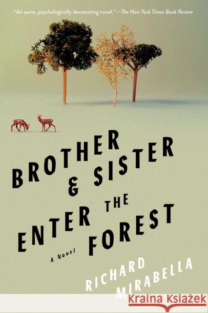 Brother & Sister Enter the Forest Richard Mirabella 9781646222179