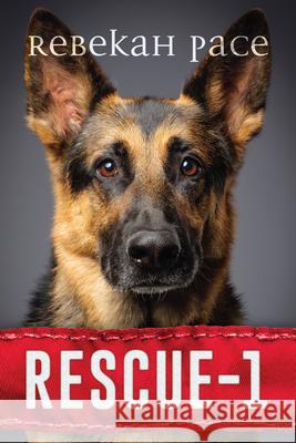 Rescue 1 Rebekah Pace 9781646304004 Level 4 Press