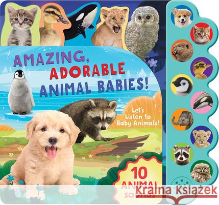 Amazing, Adorable Animal Babies! Cottage Door Press 9781646383900 Parragon