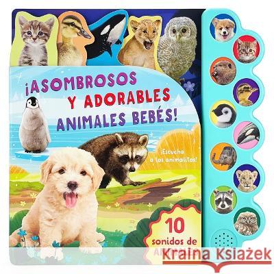 Asombrosos Y Adorables Animales Bebés / Amazing, Adorable Animal Babies (Spanish Edition) Parragon Books 9781646386628 Parragon