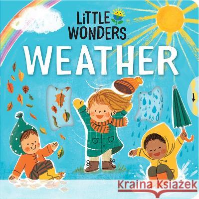 Little Wonders Weather Cottage Door Press 9781646388868