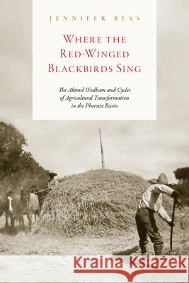 Where the Red-Winged Blackbirds Sing: The Akimel O'Odham and Cycles of Agricultural Transformation in the Phoenix Basin Jennifer Bess 9781646423101 University Press of Colorado