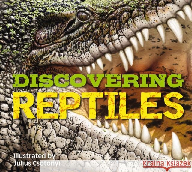 Discovering Reptiles: The Ultimate Handbook to the Reptiles of the World! Csotonyi 9781646430512 Applesauce Press