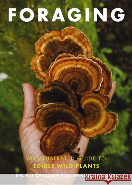 Foraging: An Illustrated Guide to Edible Wild Plants Cider Mill Press                         Aaron Carlson 9781646433391 Cider Mill Press