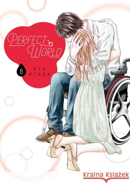 Perfect World 8 Rie Aruga 9781646511082 Kodansha Comics