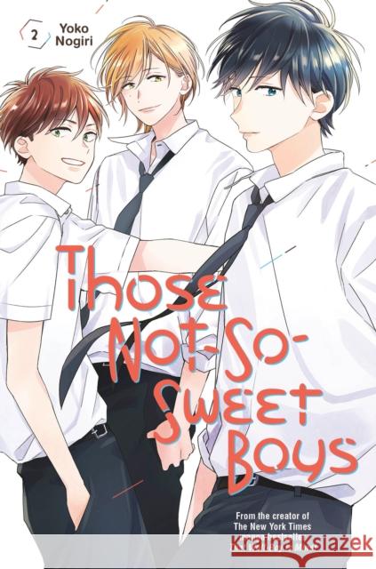Those Not-So-Sweet Boys 2 Yoko Nogiri 9781646511976 Kodansha Comics