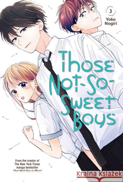 Those Not-So-Sweet Boys 3 Yoko Nogiri 9781646511983 Kodansha America, Inc