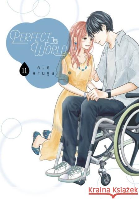 Perfect World 11 Rie Aruga 9781646512980 Kodansha America, Inc