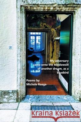 My adversary came onto the windowsill of another dream, as a bluebird Michele Rozga 9781646622504