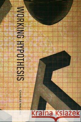 Working Hypothesis Charles Malone 9781646622948 Finishing Line Press