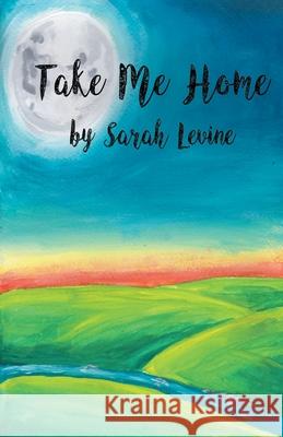 Take Me Home Sarah Levine 9781646623181