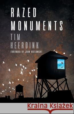 Razed Monuments Tim Heerdink 9781646623785 Finishing Line Press