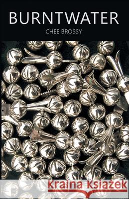 Burntwater Chee Brossy 9781646624171