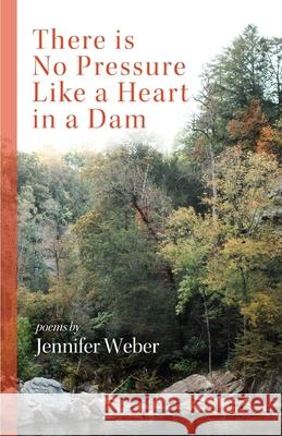 There is No Pressure Like a Heart in a Dam Jennifer Weber 9781646628117