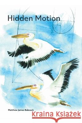 Hidden Motion Matthew Babcock   9781646629312