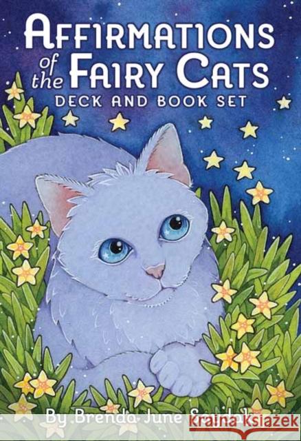 Affirmations of the Fairy Cats Deck and Book Set Brenda June Saydak 9781646710690 U.S. Games Systems