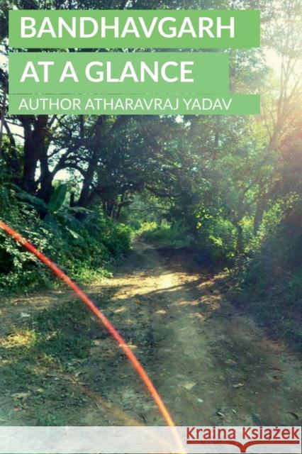 Bandhavgarh At a Glance Atharavraj Yadav   9781646783175 Notion Press