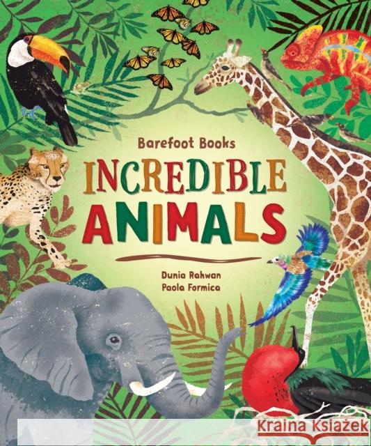 Barefoot Books Incredible Animals Dunia Rahwan Paola Formica 9781646860661 Barefoot Books, Incorporated