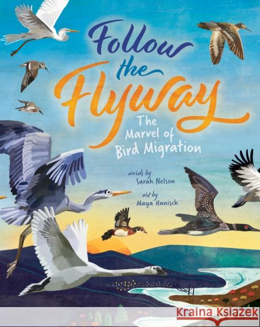 Follow the Flyway: The Marvel of Bird Migration Sarah Nelson Maya Hanisch 9781646866335 Barefoot Books, Incorporated