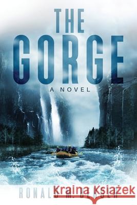 The Gorge Ronald M. Berger 9781647041885