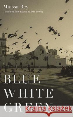 Blue White Green Samia Benameur Erin Twohig 9781647127022 Georgetown University Press